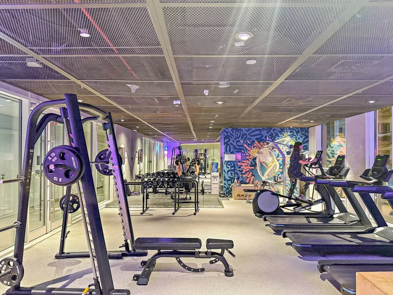 A gym with weight-training equipment and treadmills.