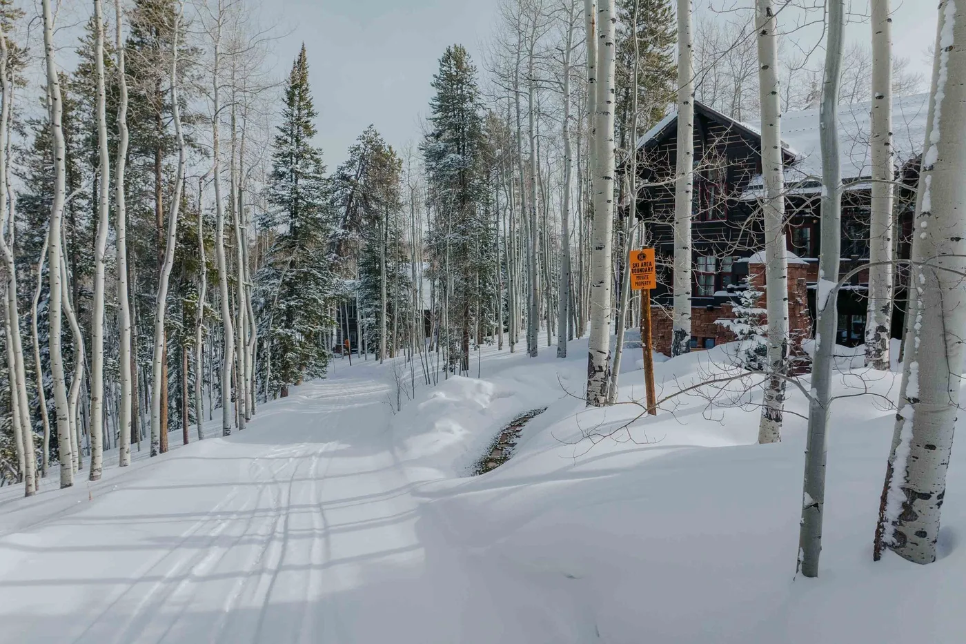 A snow-covered path winds through trees beside a dark cabin.