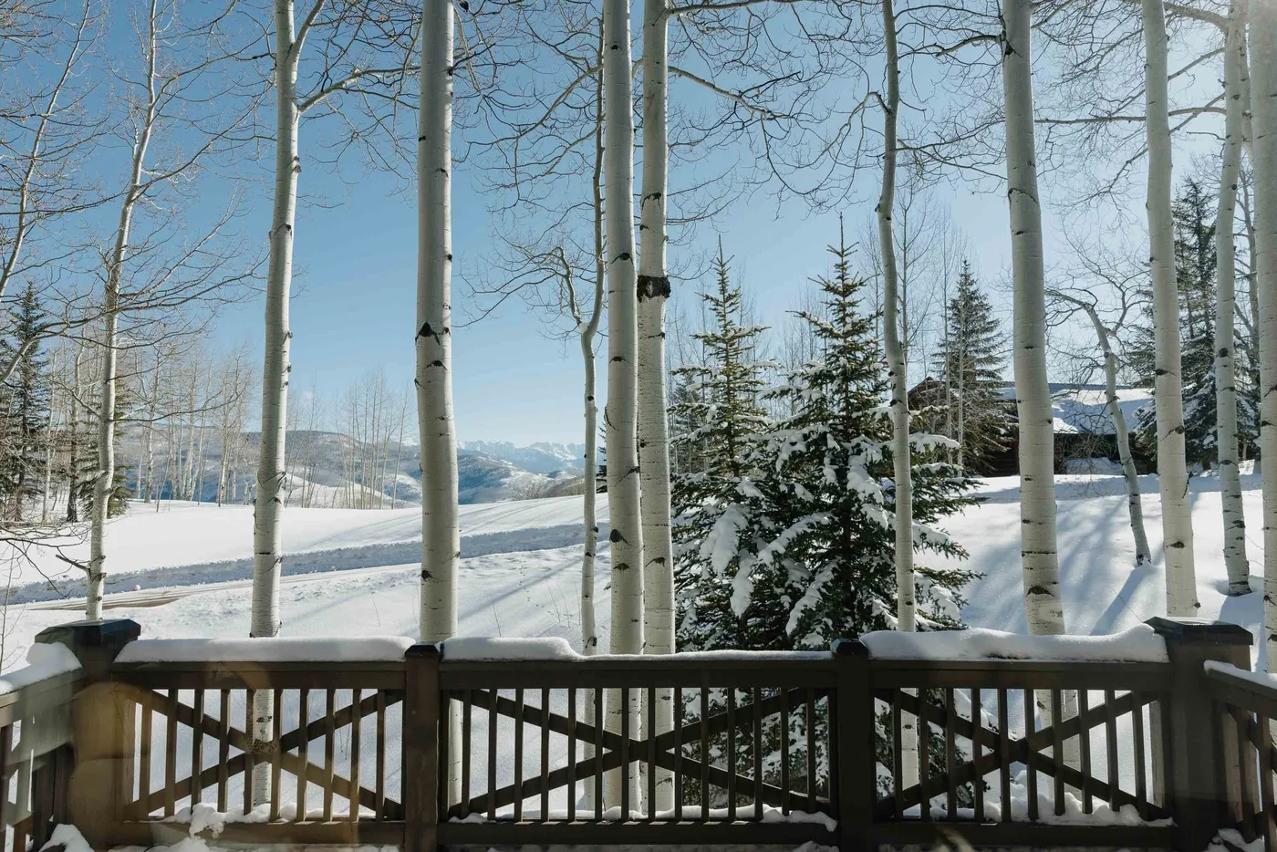 A snowy landscape with evergreen trees is seen beyond a wooden deck railing.