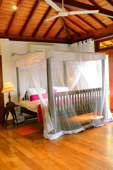 Tropical Retreat property photo
