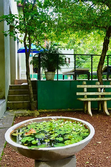 Tropical Retreat property photo