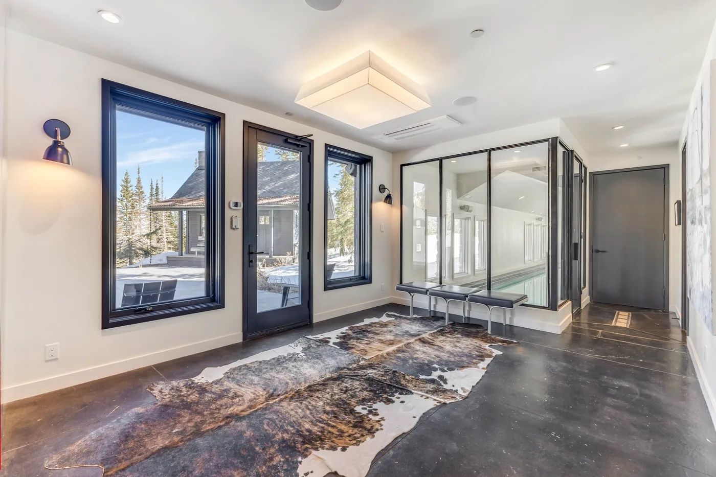A bright modern interior with large windows, glass partitions, and a patterned rug.