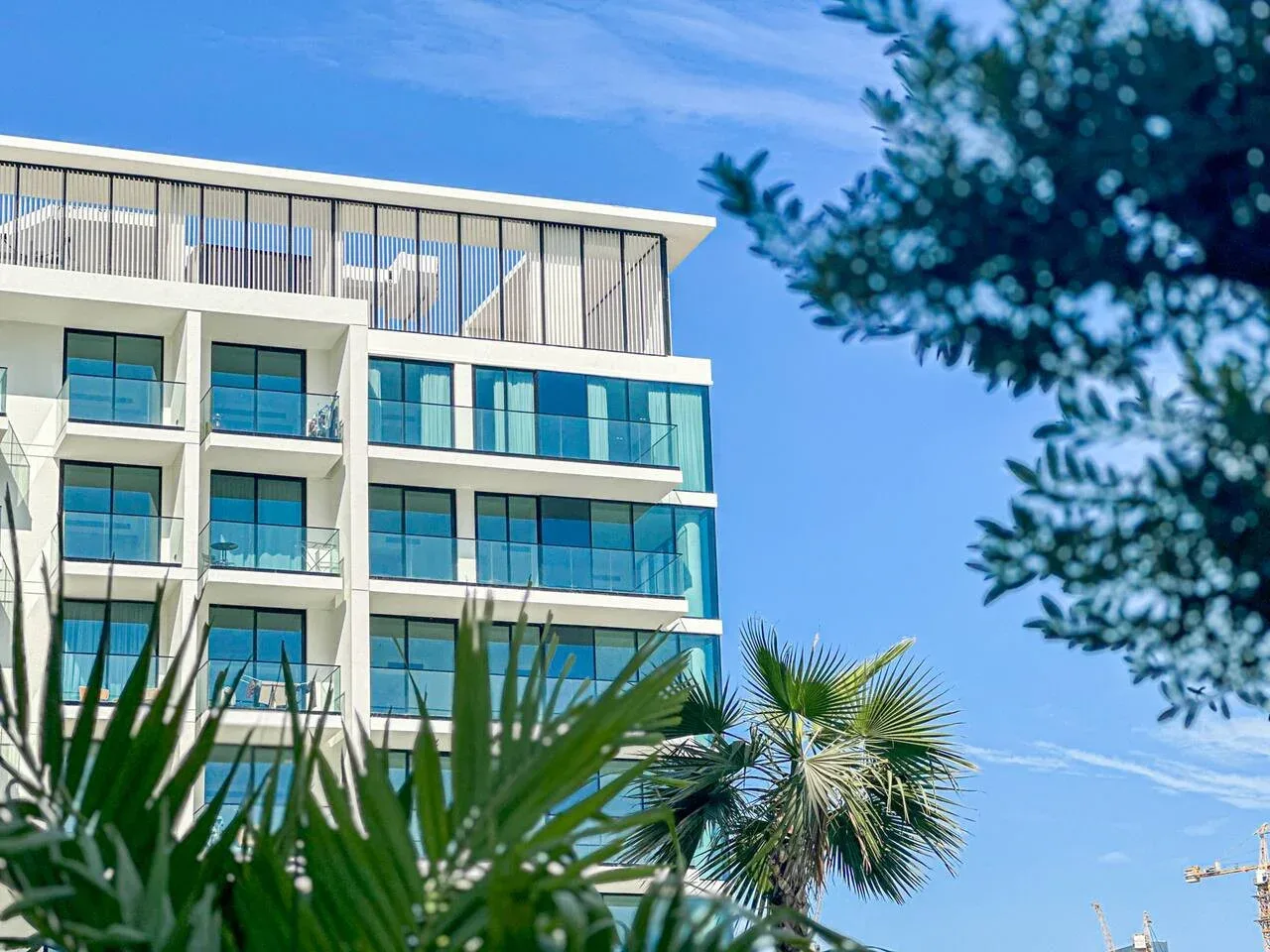 A modern multi-story building with glass-fronted balconies rises above palm trees.