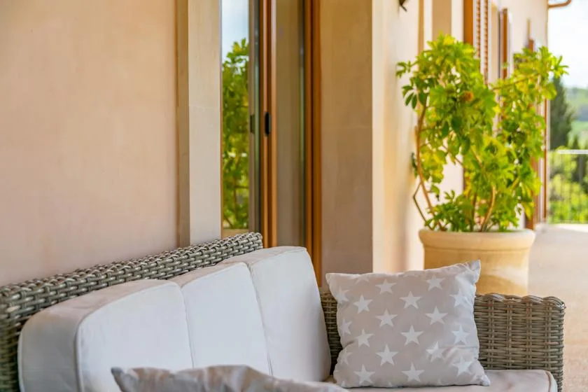 Una zona de asientos acolchados está junto a una ventana y plantas en macetas.