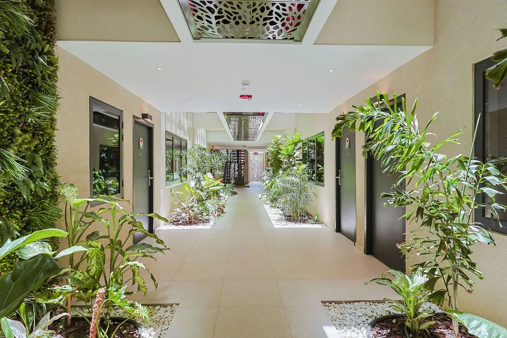 A serene hallway lined with tropical greenery creates a spa-like atmosphere as you move through the property.