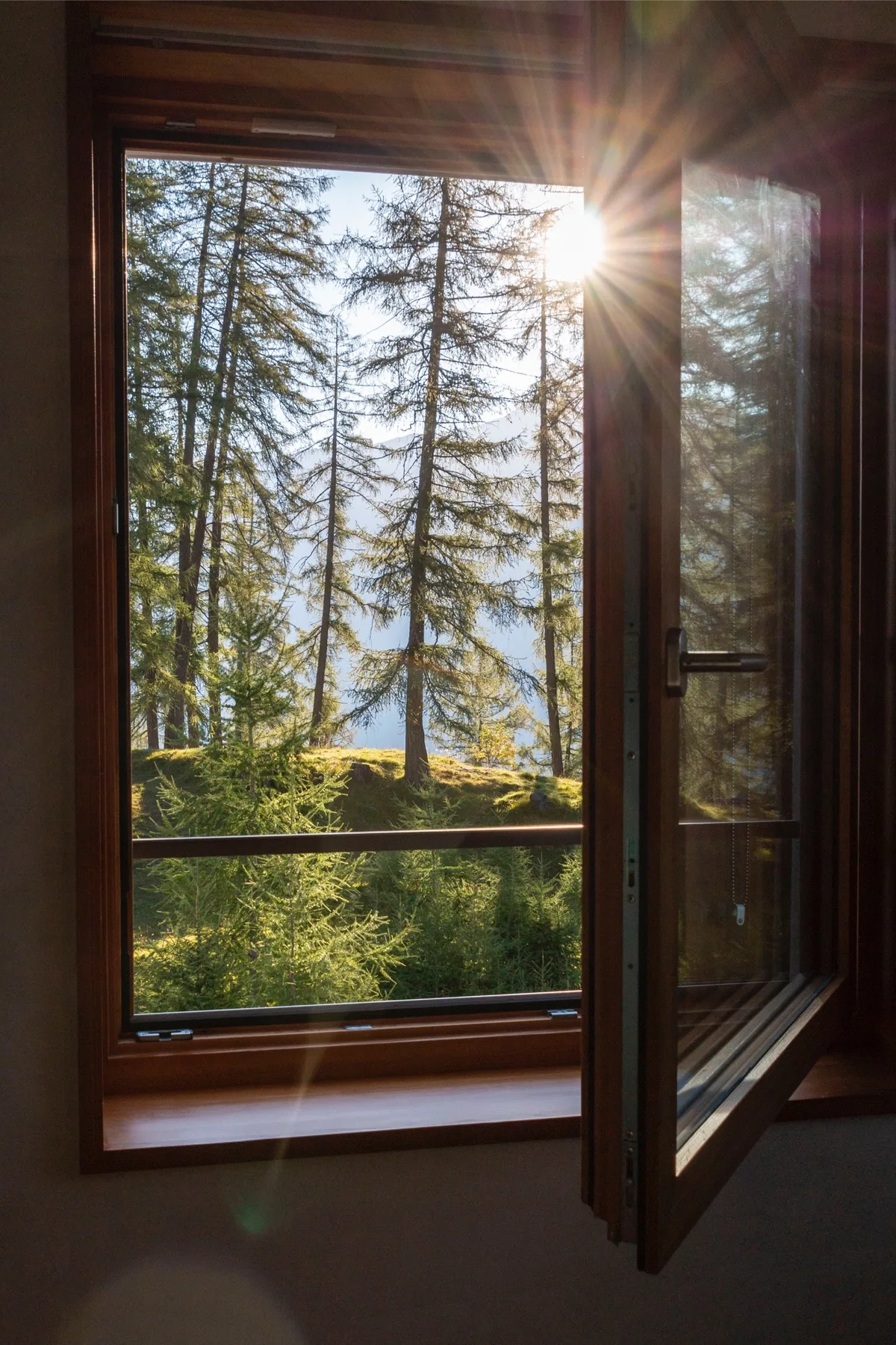Casa High Life accommodation gallery photo 5