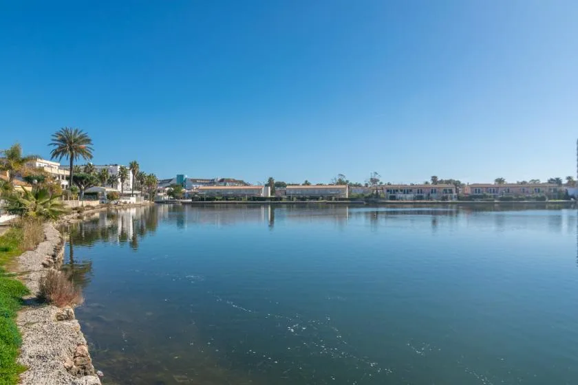 A calm waterfront scene shows buildings and palm trees reflected in the water.