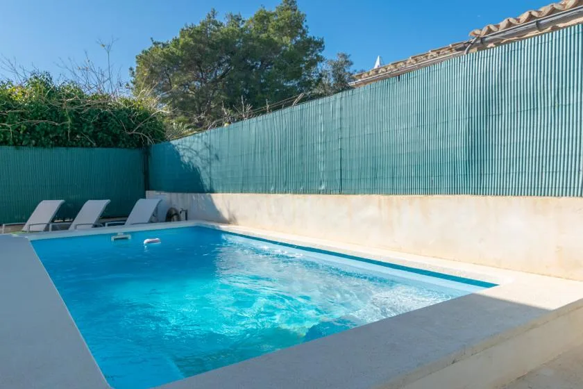 An outdoor swimming pool sits beside a tall green privacy screen.