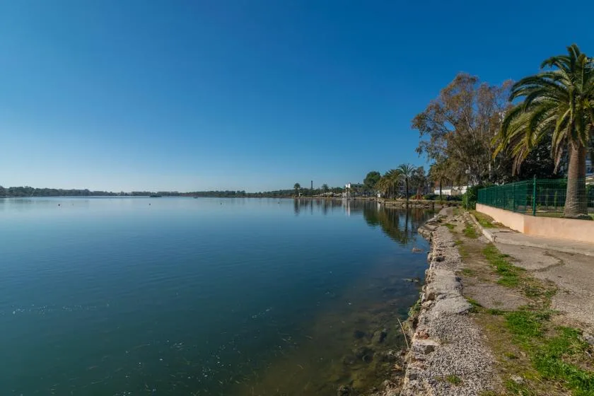 A lakeside path follows the water beneath a clear blue sky.