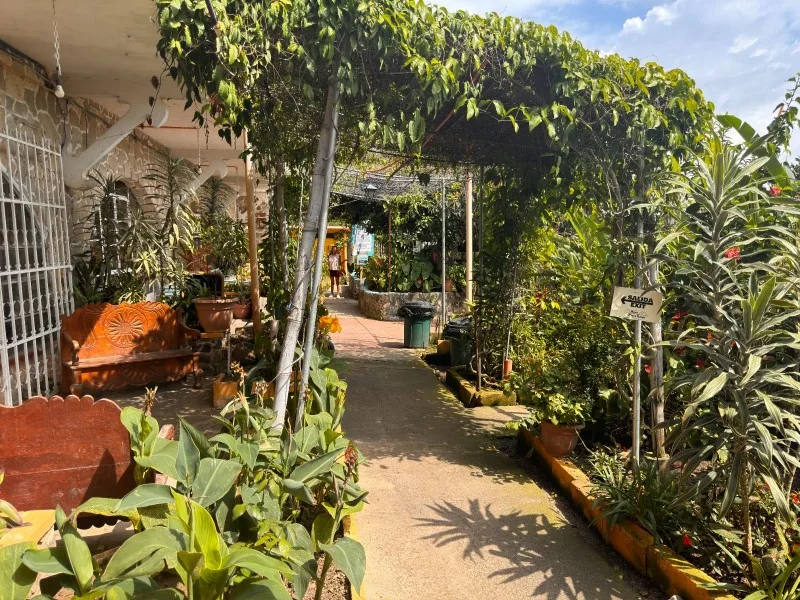 Garden view