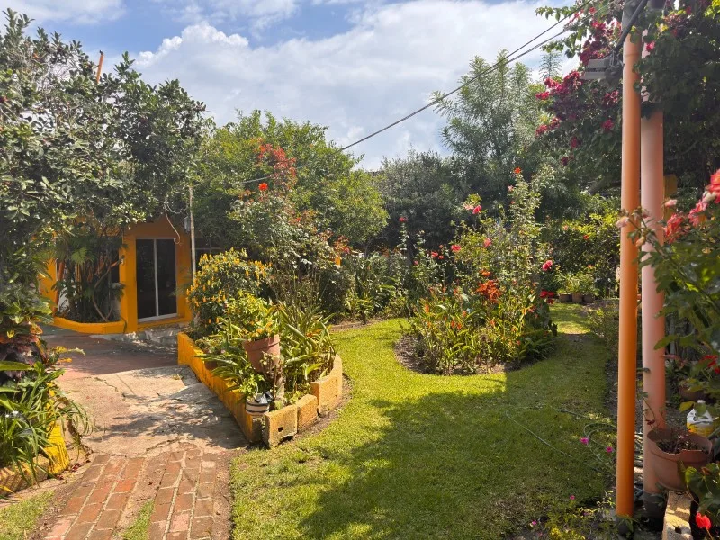 Garden view