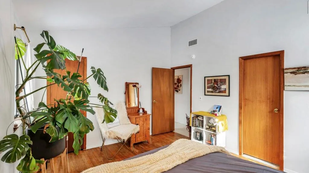 Una sala luminosa con asientos, suelo de madera y varias plantas frondosas.