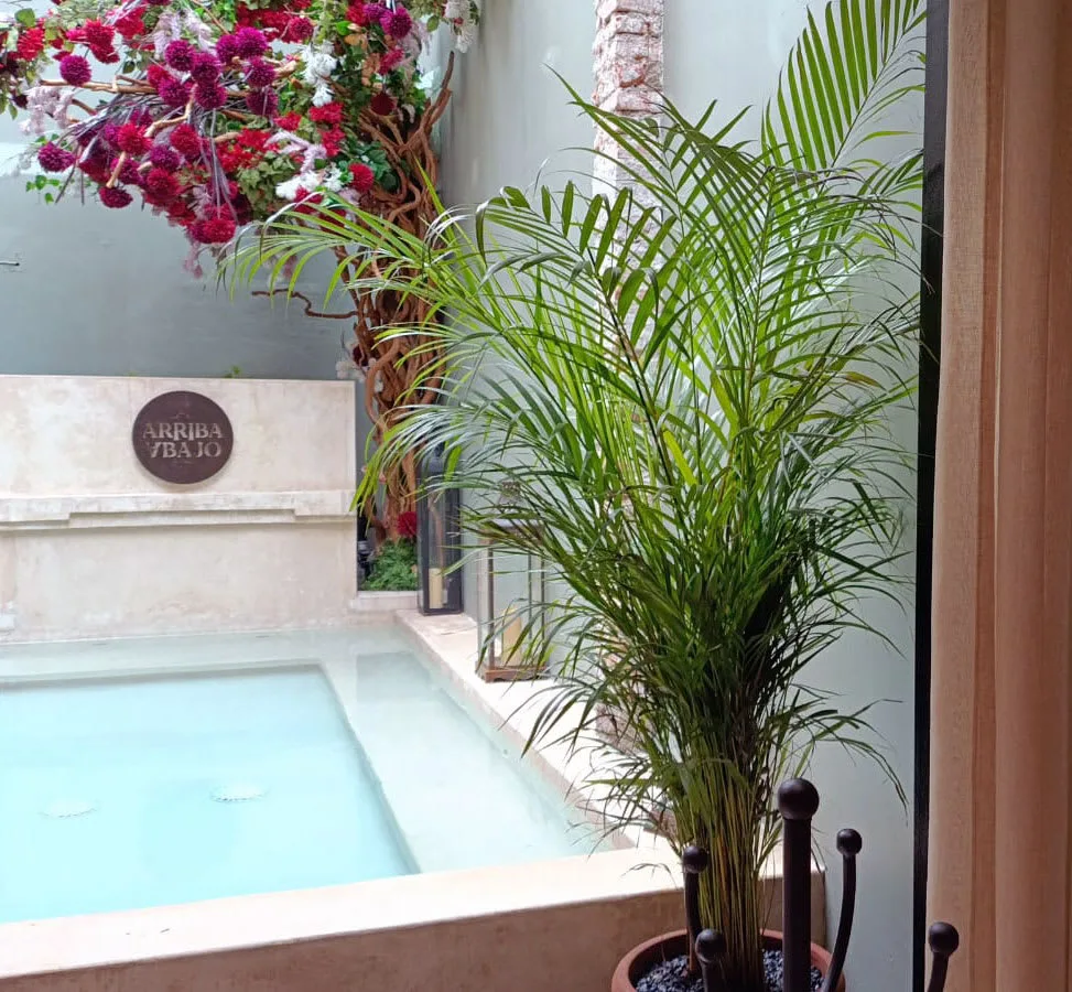 Courtyard with jacuzzi, magenta bougainvillea overhead, and tall palm plant