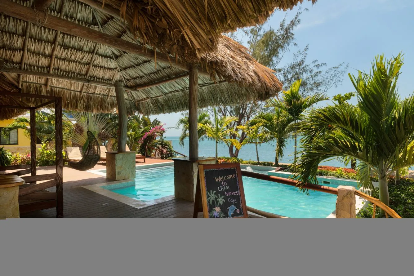 A turquoise swimming pool sits beside a thatched-roof patio overlooking the sea.