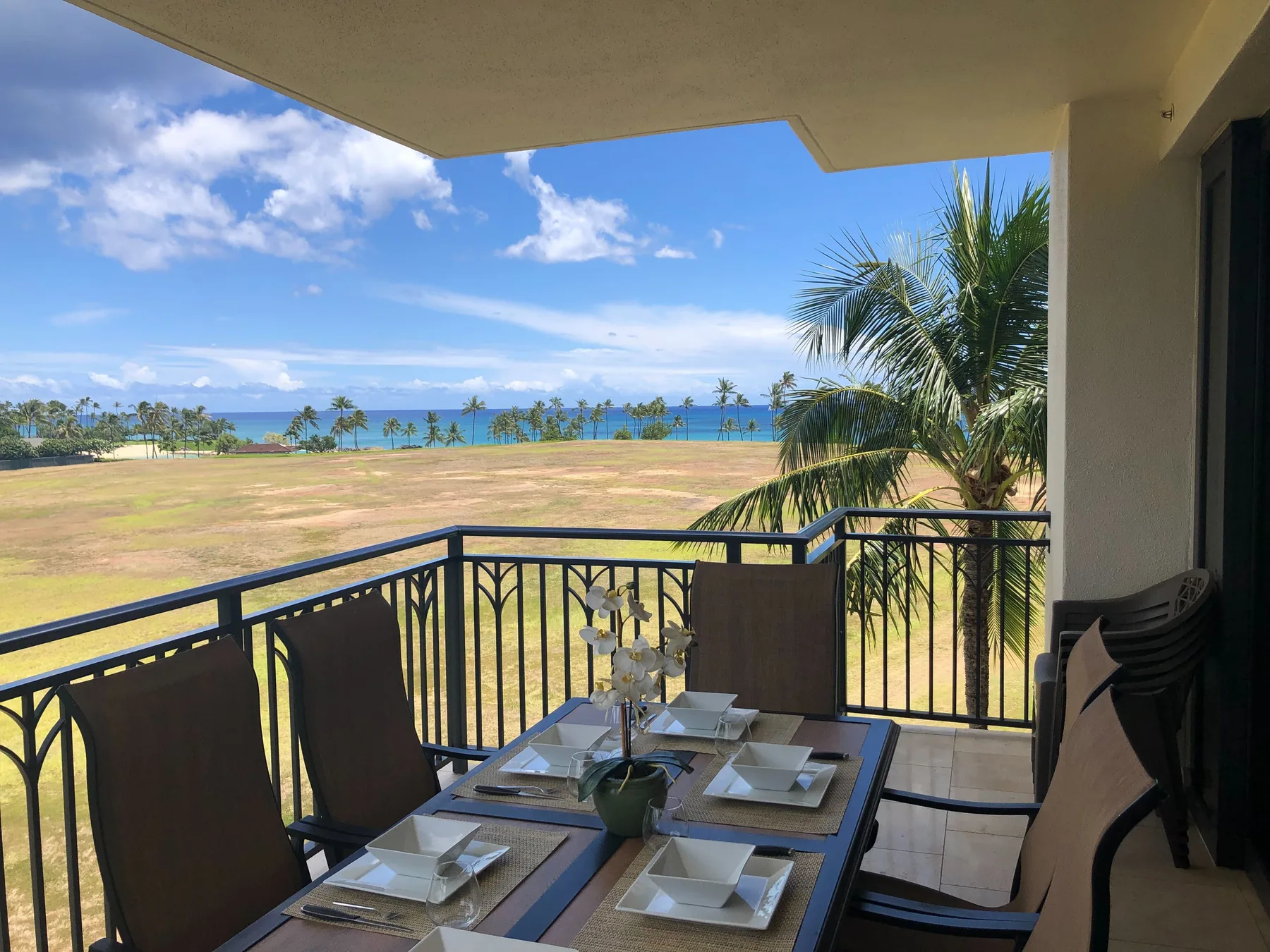 A balcony dining area overlooks a grassy field, palm trees, and the ocean.