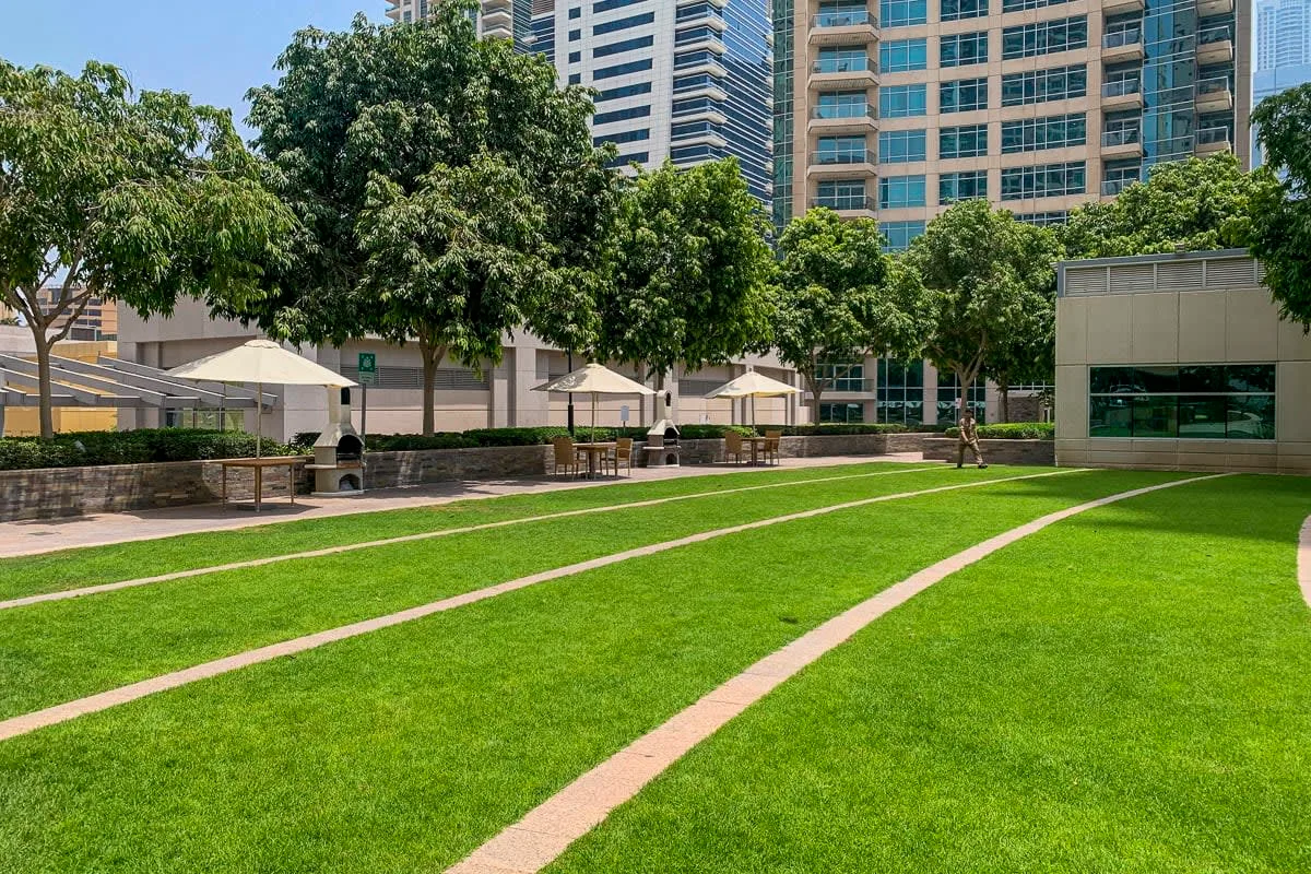 Un patio ajardinado con césped, árboles y asientos junto a edificios.