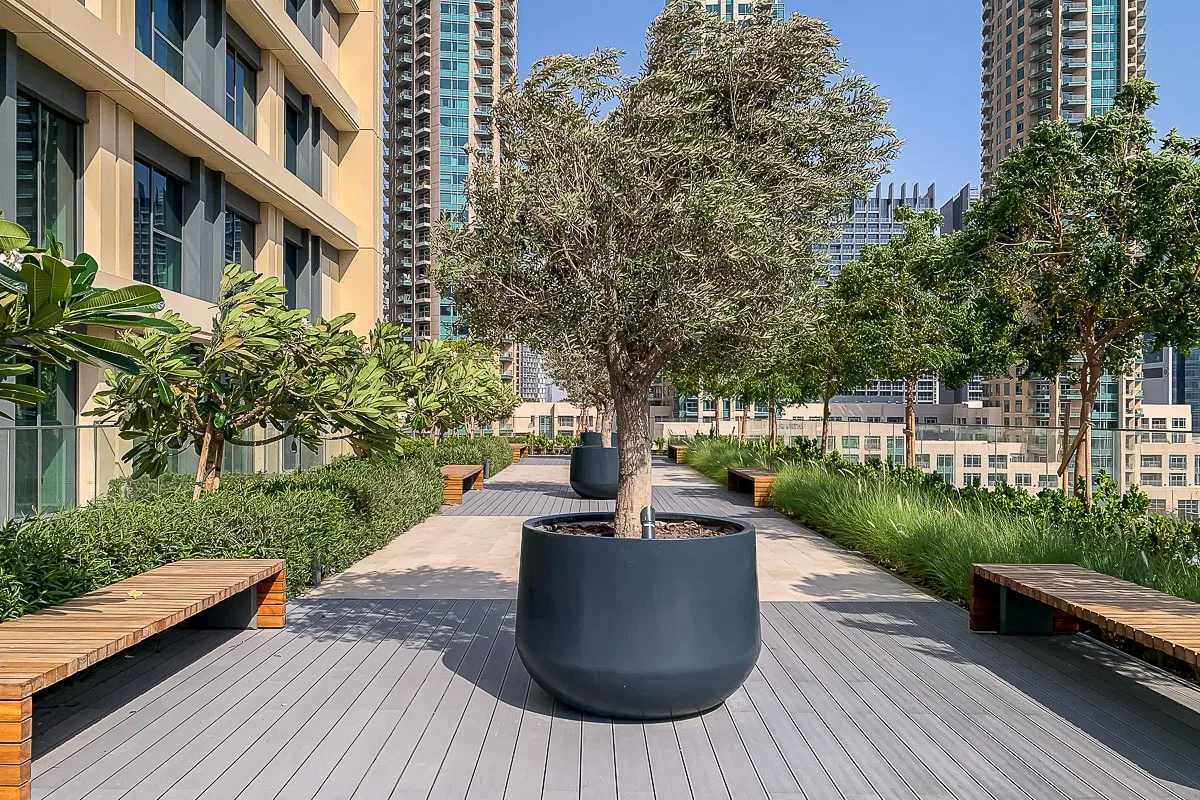 Una terraza exterior ajardinada con un árbol en una maceta grande, bancos y vegetación.