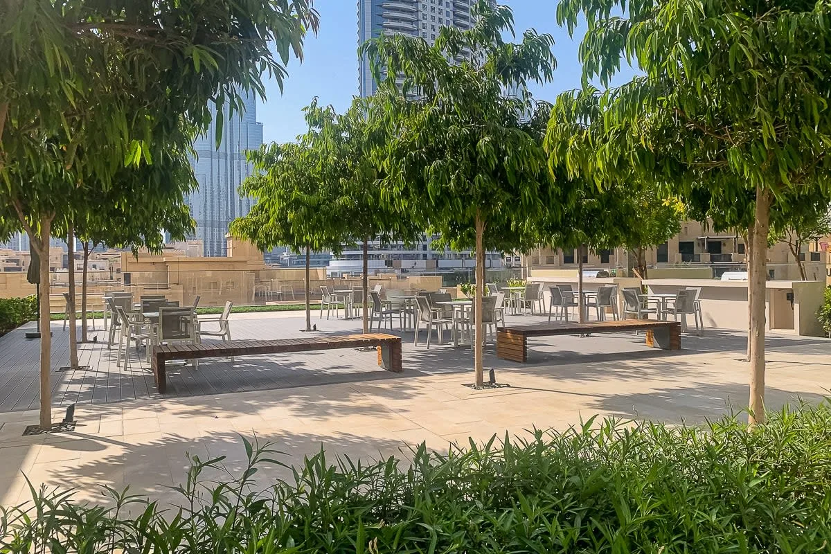 Una terraza ajardinada al aire libre con árboles, bancos y mesas.