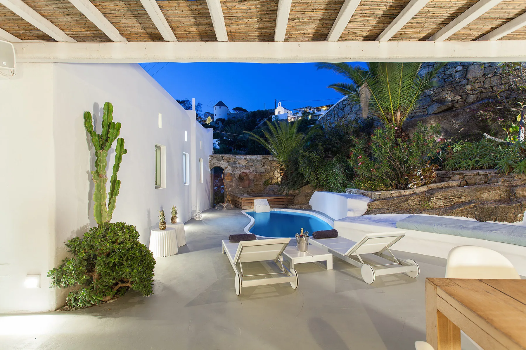 An outdoor pool patio with reclining loungers and a cactus beside a white wall.