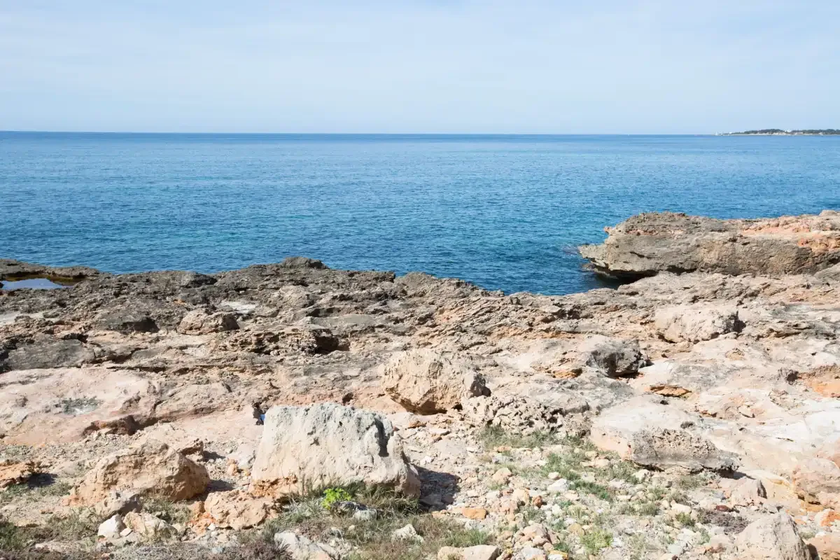 A rocky shoreline meets calm blue water beneath a clear sky.