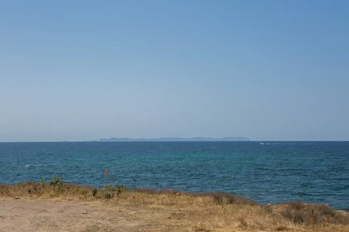 A coastal landscape with dry grass beside the sea under a clear sky.