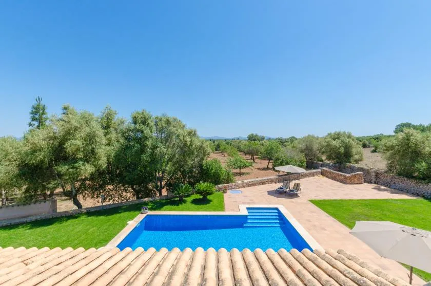 An outdoor swimming pool sits beside a paved patio and green lawn.