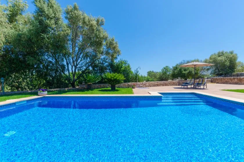 A swimming pool sits beside a paved patio with shaded seating.
