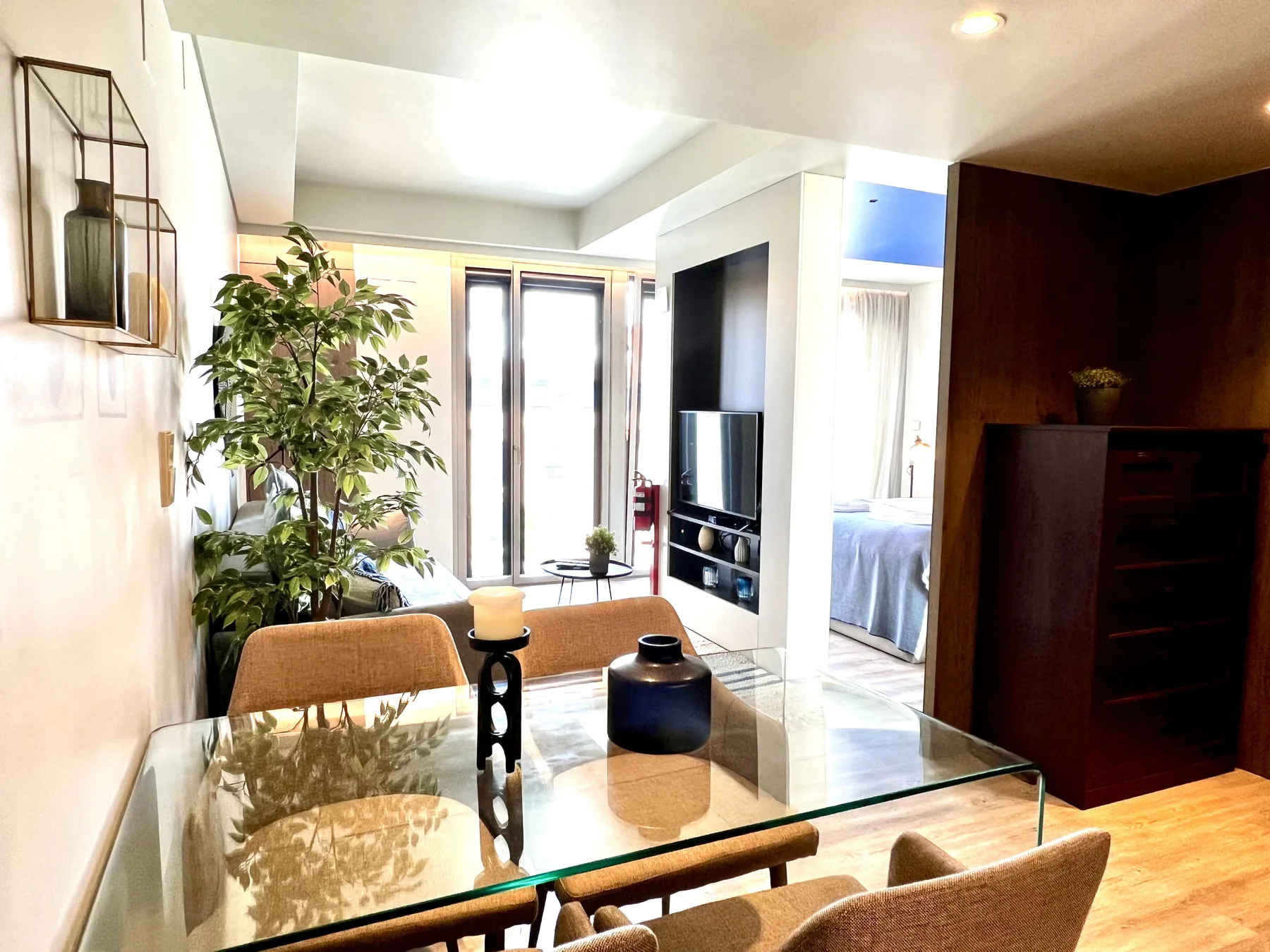 Una sala luminosa con una mesa de comedor de cristal y una planta frondosa.