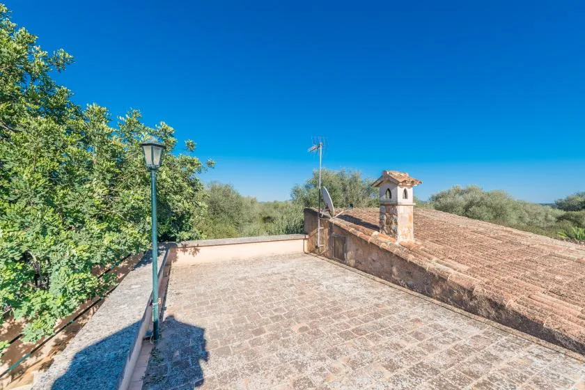 A paved rooftop terrace bordered by leafy trees and an adjacent tiled roof.