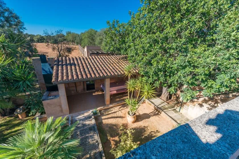 A tiled-roof patio sits among trees and garden plants.