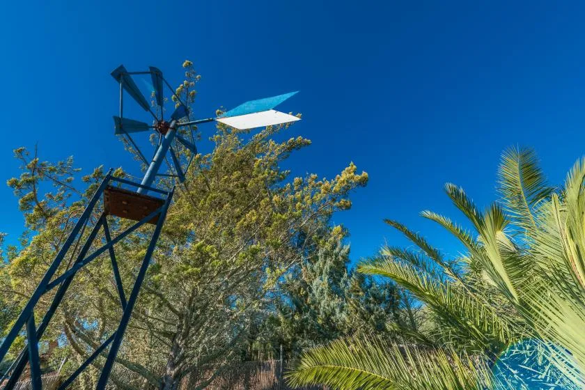 An outdoor scene with a metal windmill among trees and palm fronds.