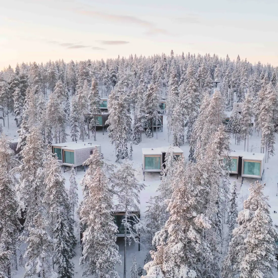 Arctic TreeHouse Hotel