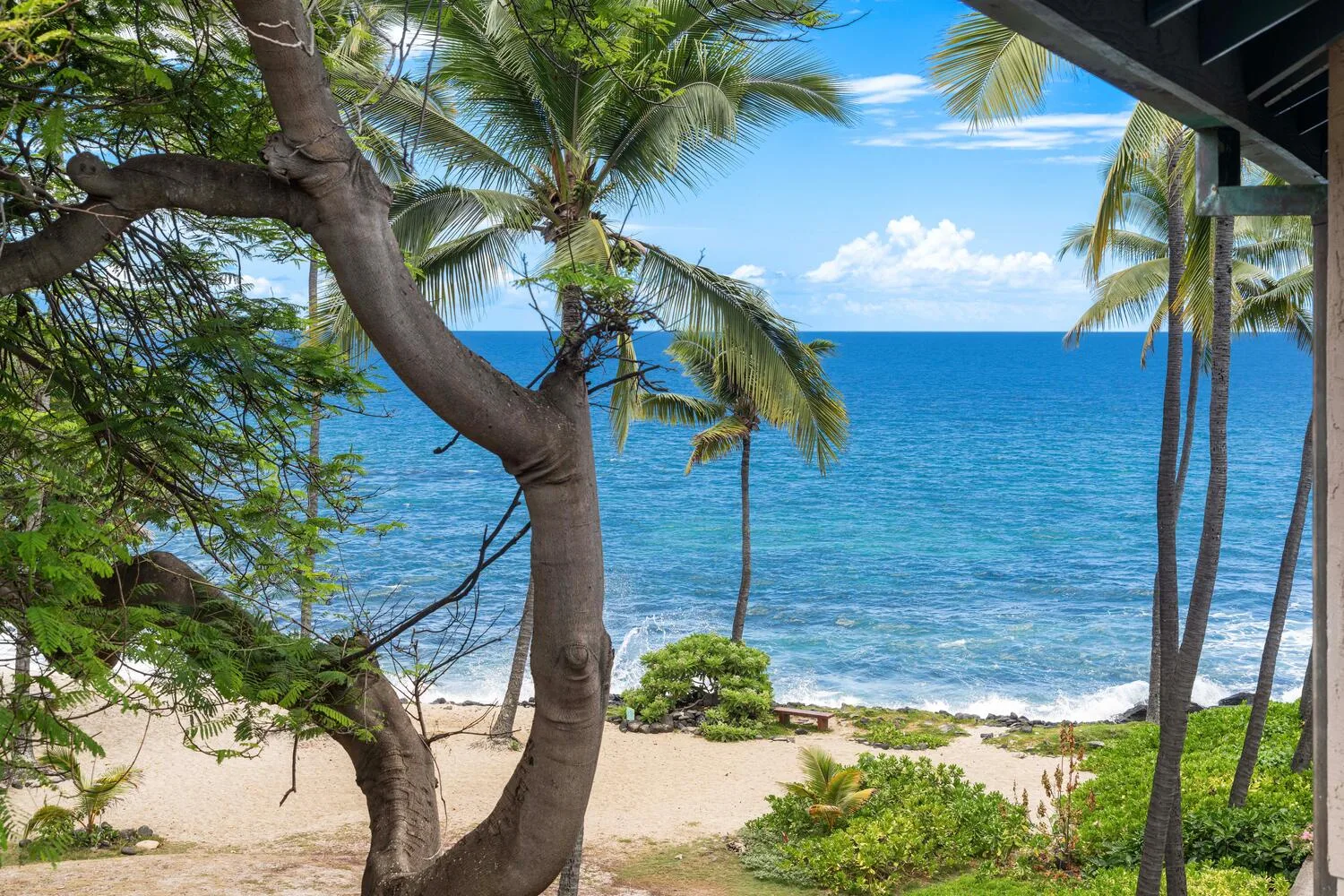 Una playa tropical junto al océano, enmarcada por palmeras y vegetación.