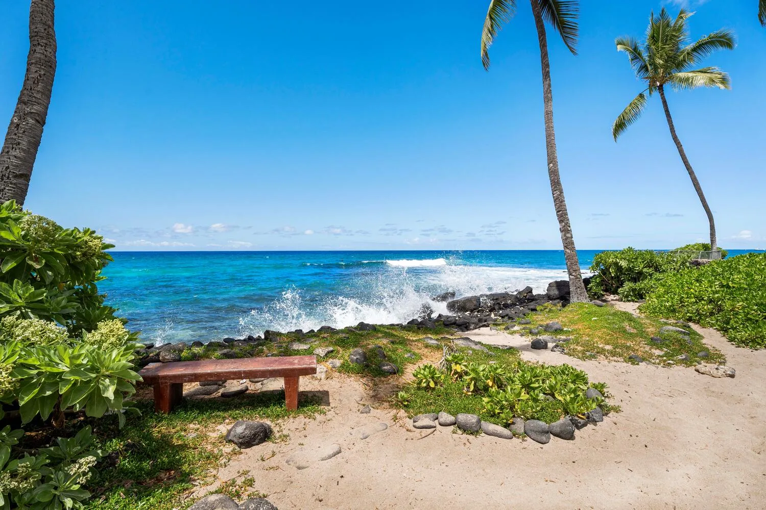Una playa tropical con olas rompiendo en una costa rocosa y palmeras.