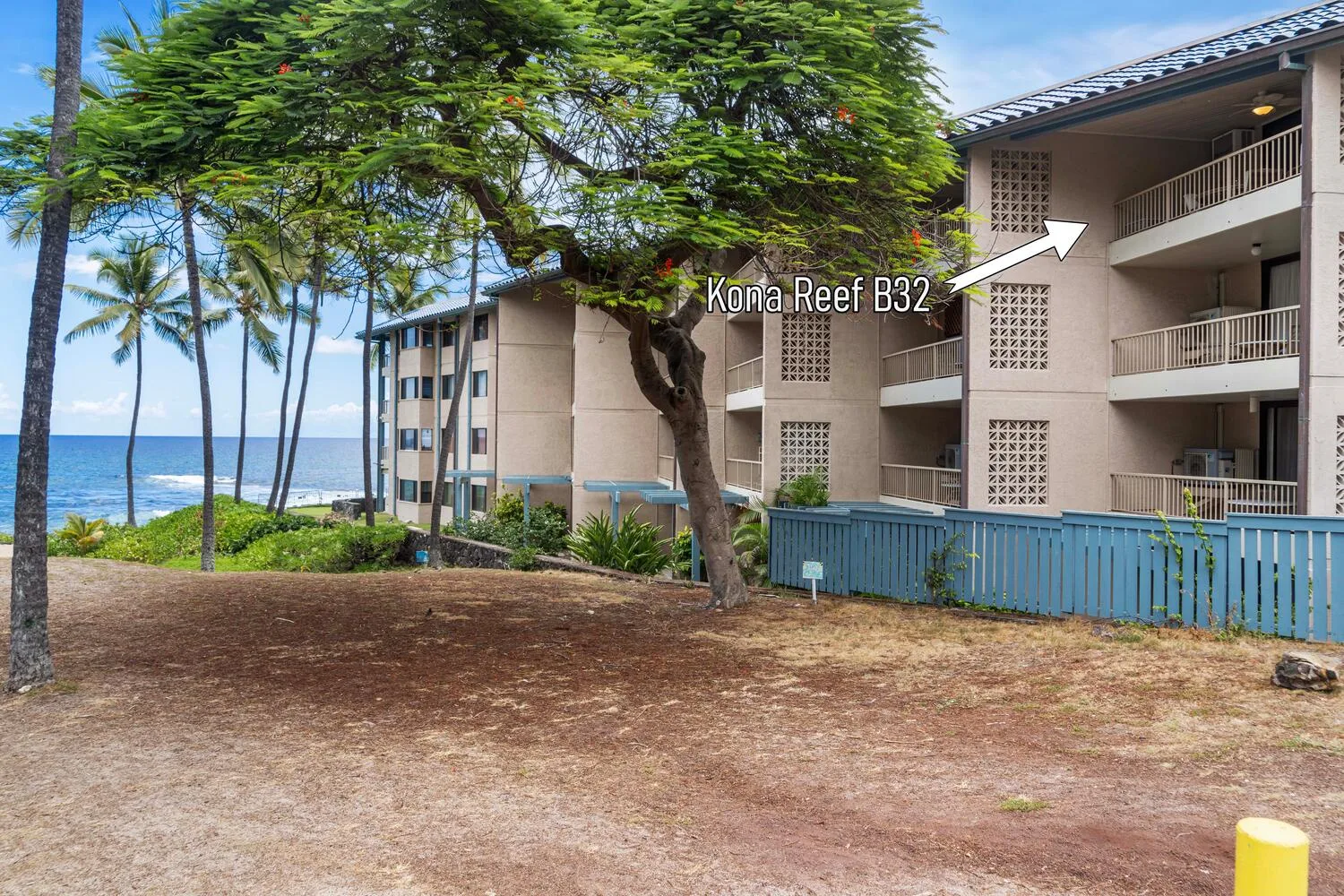 Un edificio de apartamentos junto a la playa se alza tras los árboles, junto a un área arenosa.