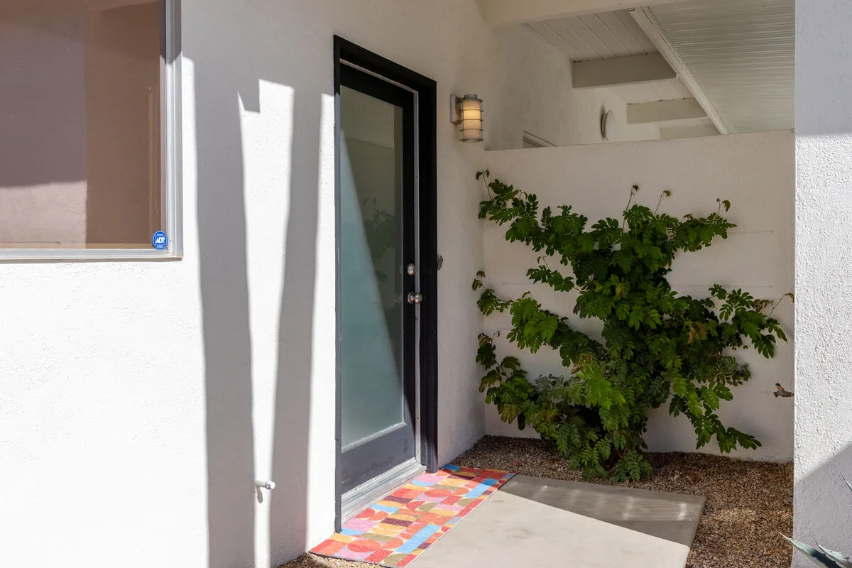 Mid-Century Oasis