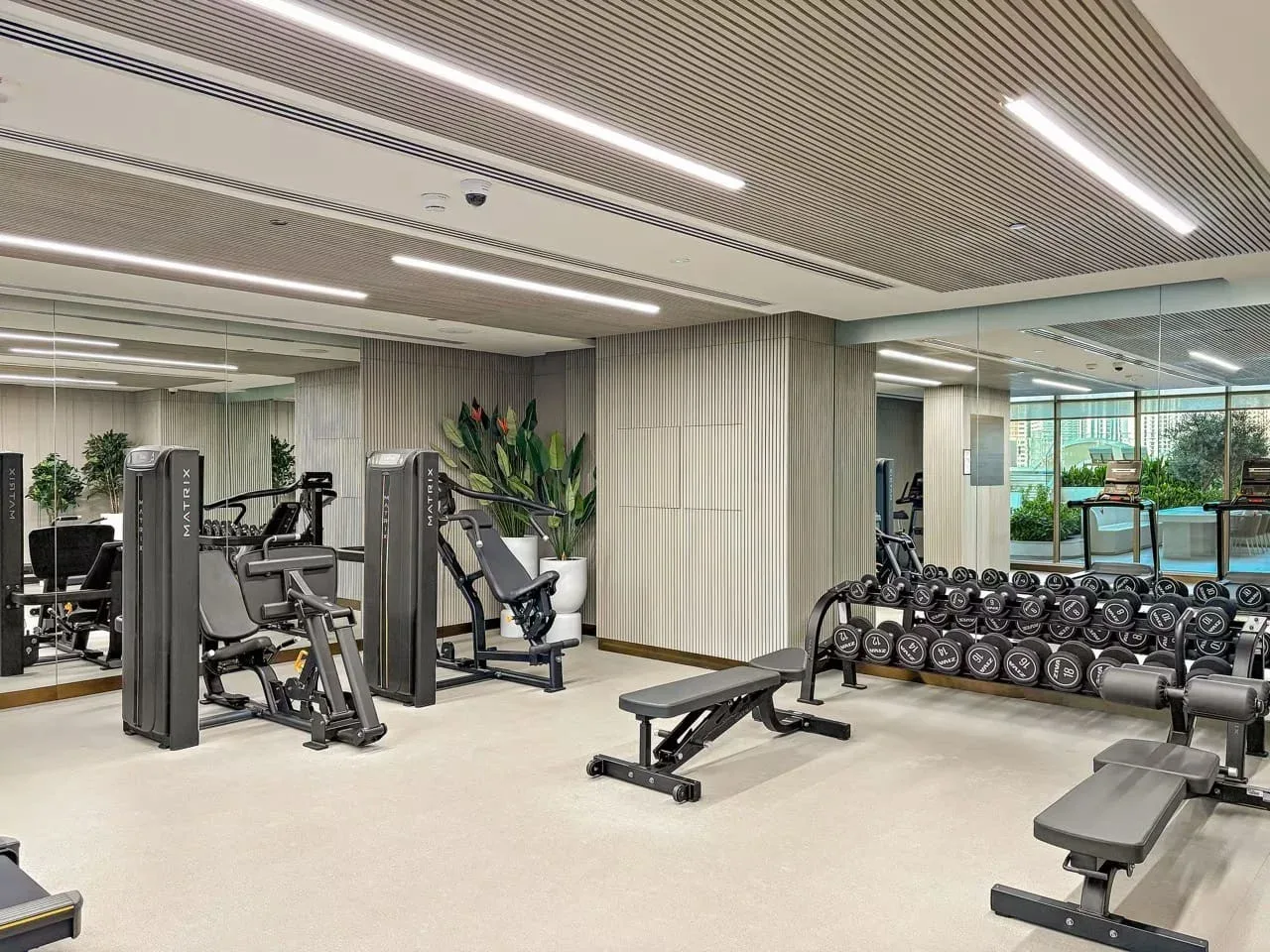 Un gimnasio con máquinas de pesas, mancuernas y bancos de ejercicio.