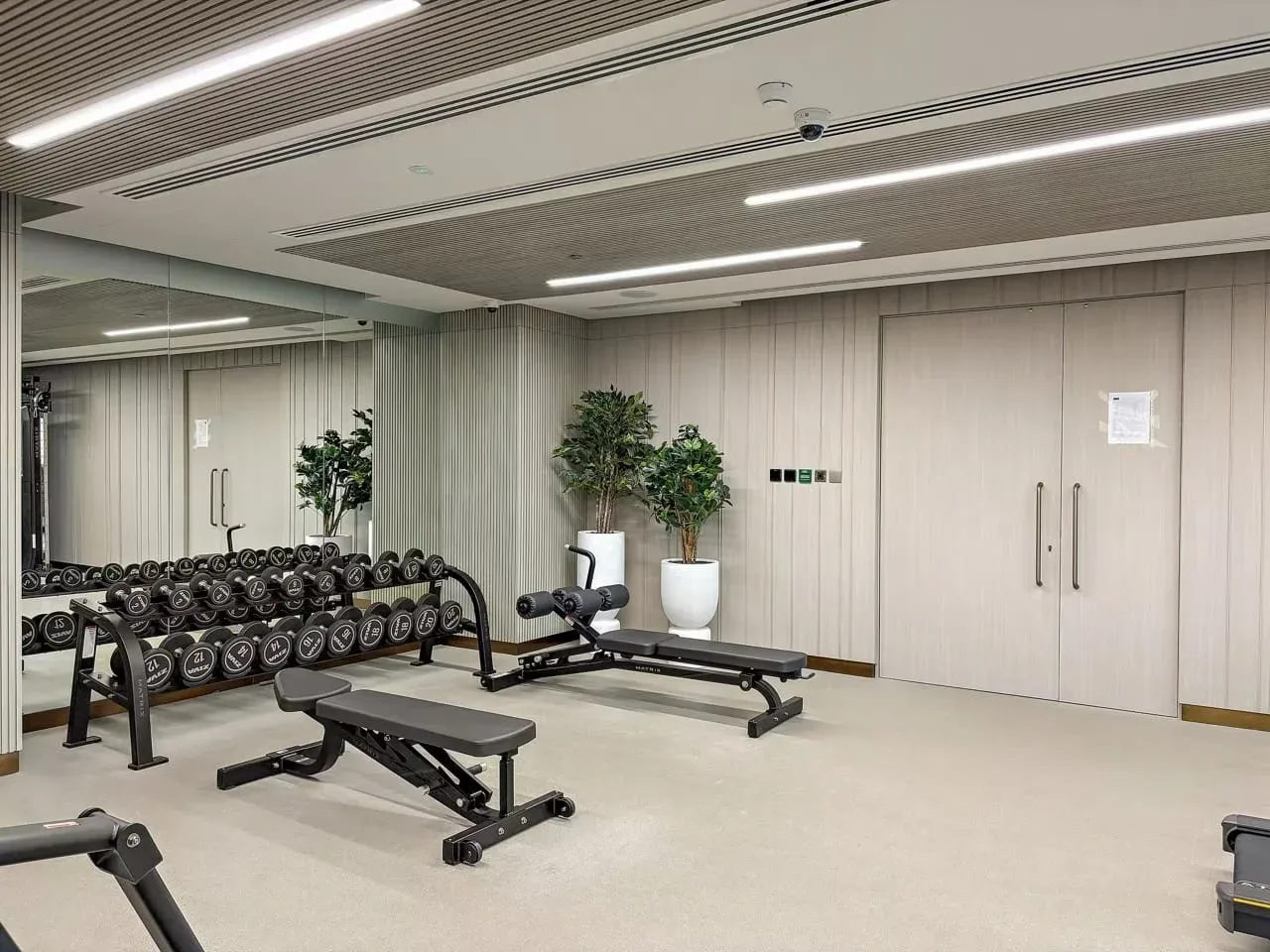 Una sala de ejercicio con soportes de pesas, bancos y plantas en macetas.
