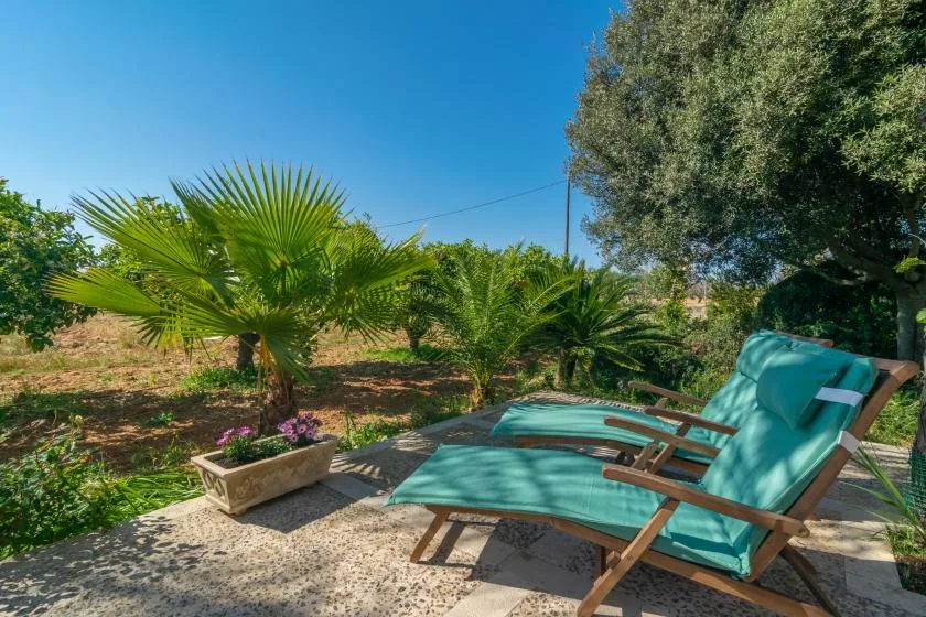 A sunny garden patio with turquoise lounge chairs beside leafy plants.