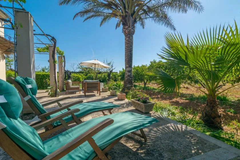 An outdoor patio with turquoise lounge seating and a garden.