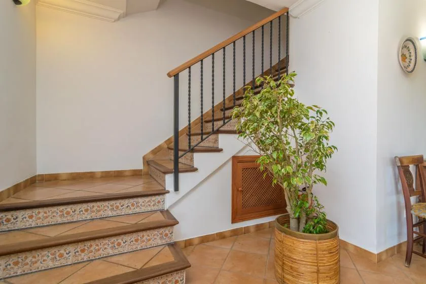 An interior staircase with a dark railing and a potted plant beside it.