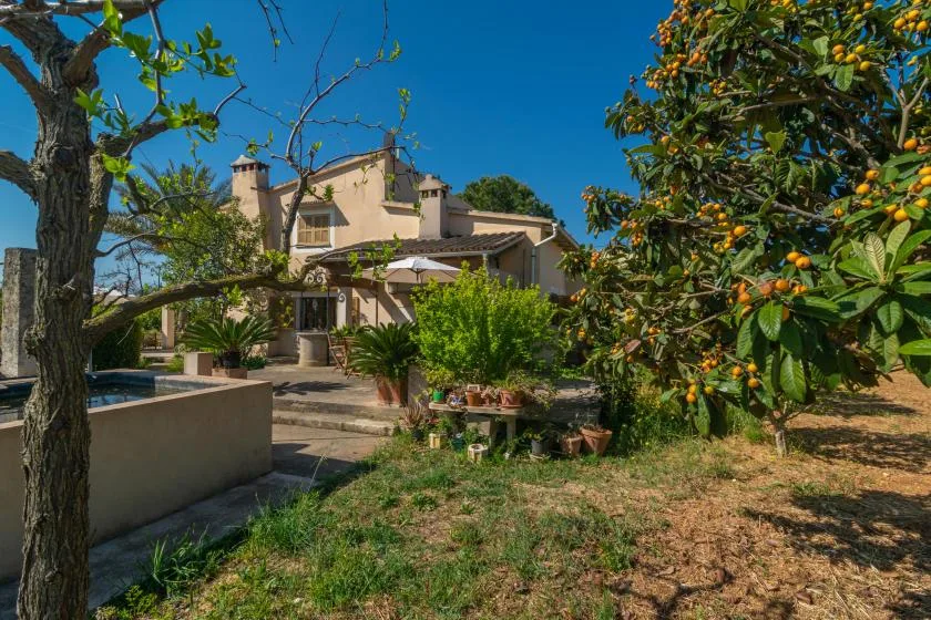 A house and garden sit beneath a clear blue sky, with trees and greenery around the patio.