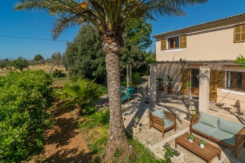 A sunny patio beside a house, with outdoor seating and leafy garden plants.