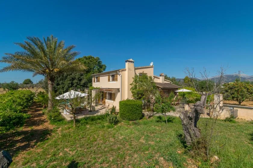 A two-story house stands in a garden with a palm tree and outdoor seating.
