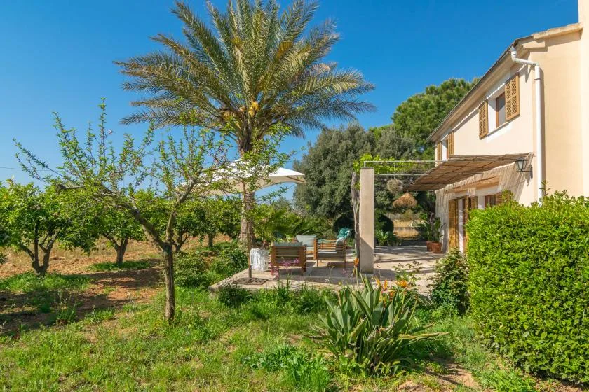 A garden with a palm tree and outdoor seating beside a house.