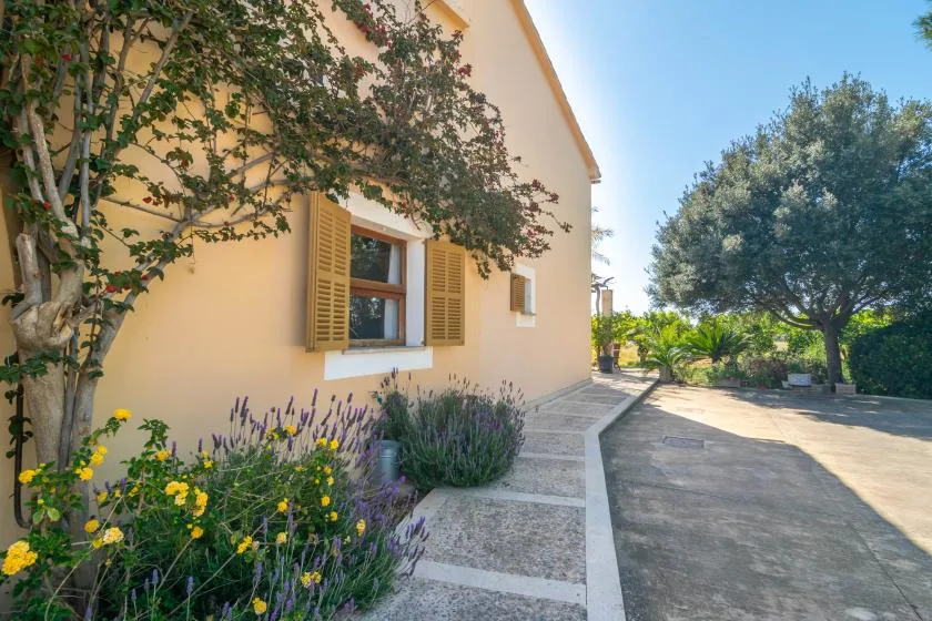 A sunny paved path runs beside a peach-colored house and flowering garden.