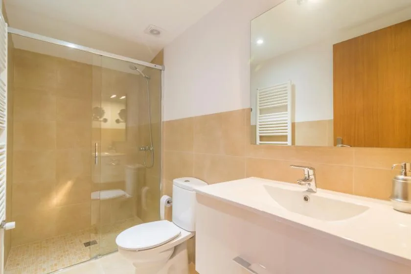 Un baño con ducha de vidrio, inodoro y lavabo bajo un espejo grande.