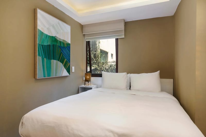 Charming & Cozy 1BR in Prime Polanco