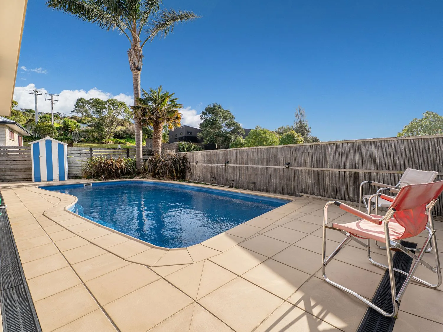 An outdoor swimming pool with palm trees and deck chairs at Whangapoua