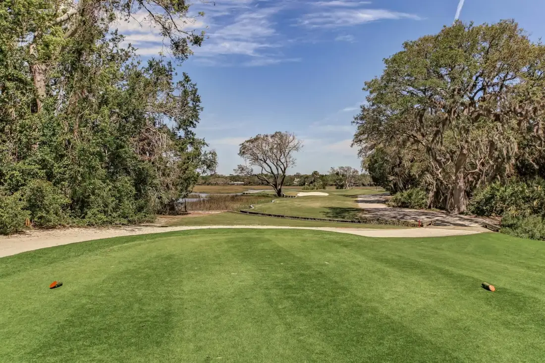 A golf teeing area overlooks a fairway bordered by trees.